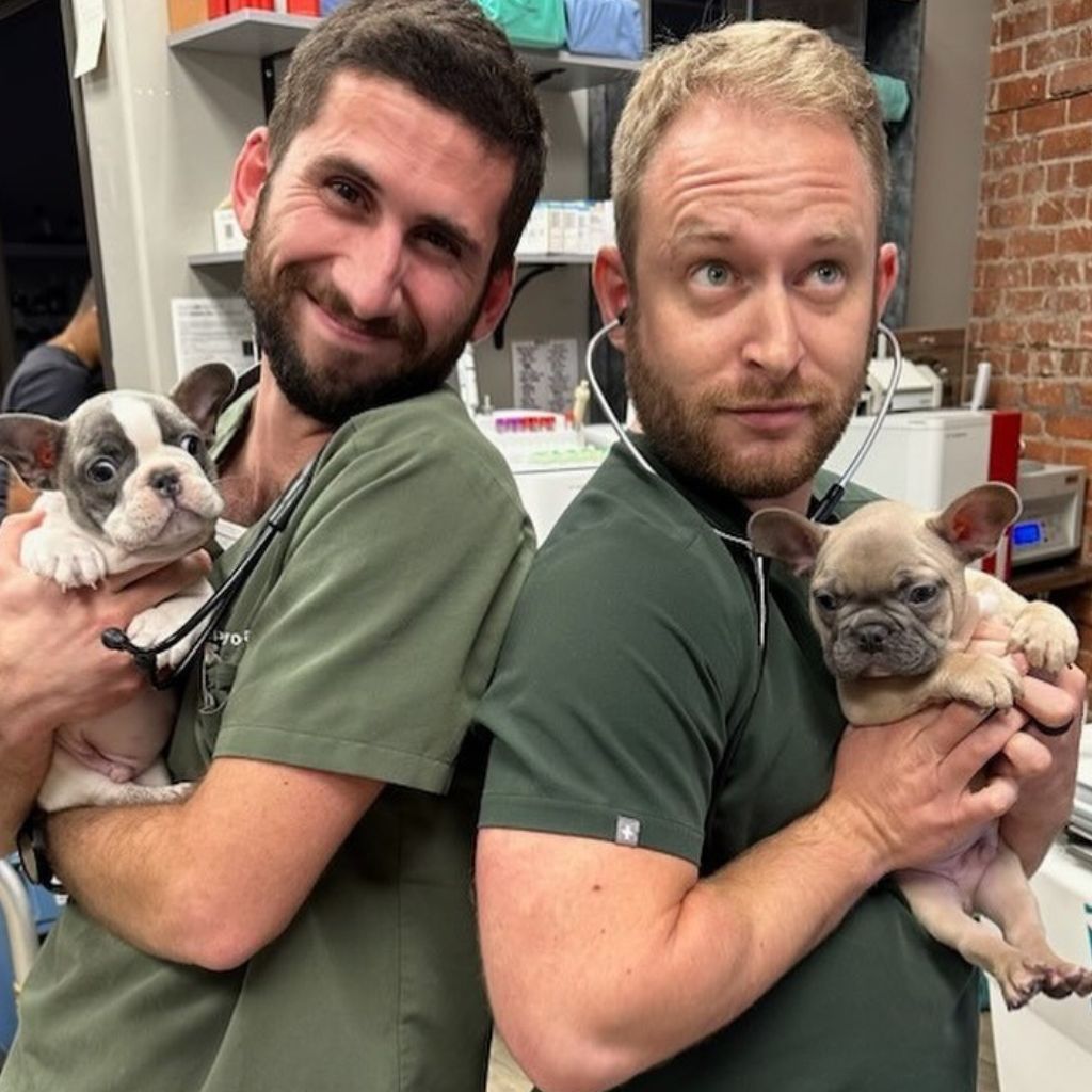 two doctors holding dogs